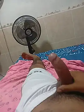 DizenedFanatic Webcam-Show