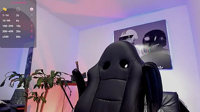 NikoHank_ Show Webcam