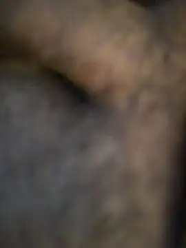 Webkamerová show anaconda20c
