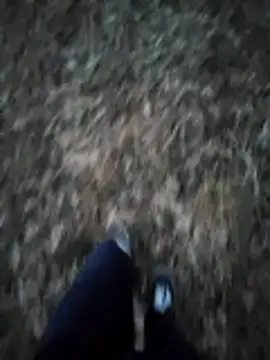 Polishboyek webkamerás műsora