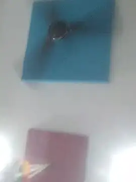 Foxboy65's Webcam Show