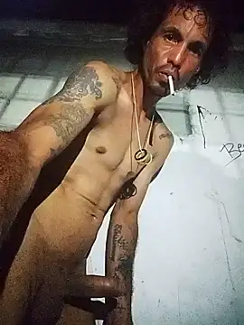 soyxx18n Webbikameraesitys