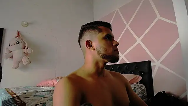 הופעת וובקאם של HarperAndMason
