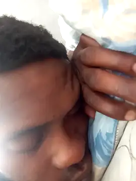 dicksa650n Webbikameraesitys