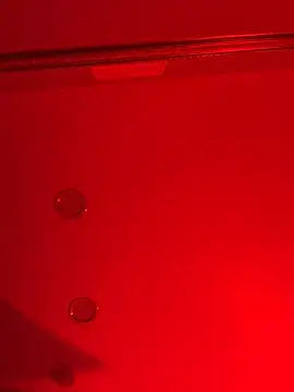Kendall__evanssn Live chat-huone