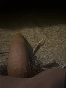 sexcboi69n Webbikameraesitys