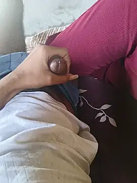 הופעת וובקאם של Funcouple0069