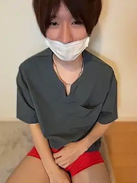 JPTopModel Webcam-Show