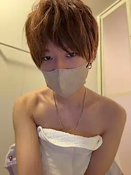 JPTopModel Webcam-Show