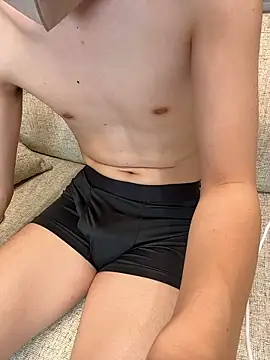 Show de webcam de JPTopModel