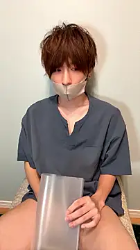 JPTopModelのウェブカメラショー