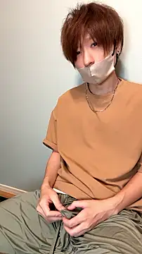 JPTopModelのウェブカメラショー