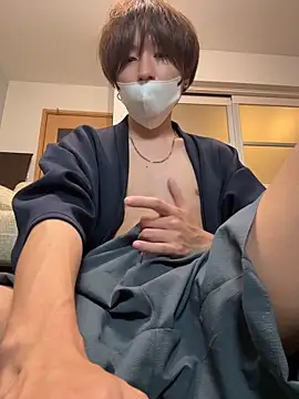 JPTopModelのウェブカメラショー