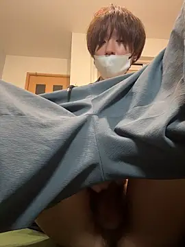 JPTopModel webcam show