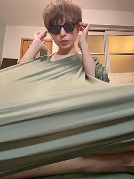 JPTopModel Show in webcam