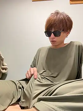JPTopModelのウェブカメラショー