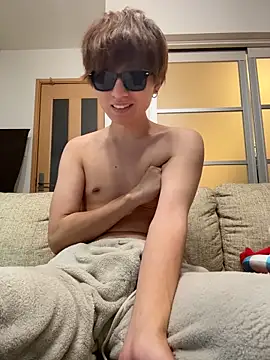 Show modela JPTopModel na web-kameri