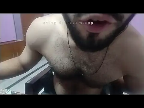 horse_Blackcock Webcam-Show