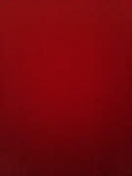 ZonkeBonkesexxy – webcam-show