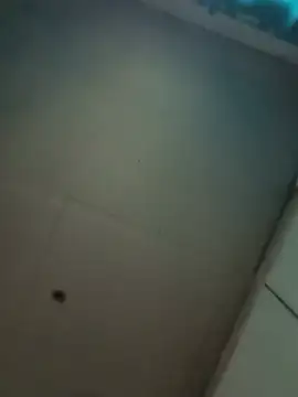 SoggyTruffle Webcam Show
