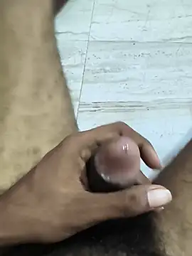 Show Webcam de manikanda64