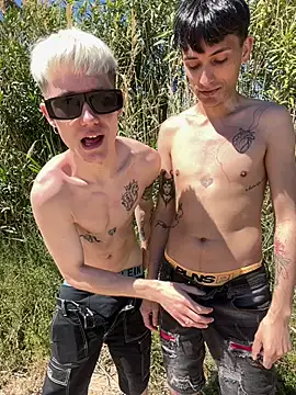 Show Webcam de AlphaTwinks