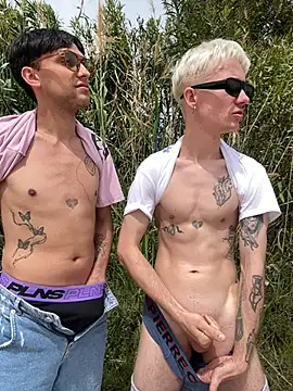 AlphaTwinks: διαδικτυακό σόου στην κάμερα