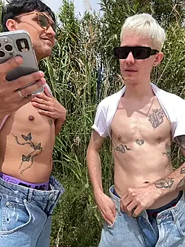 AlphaTwinks: διαδικτυακό σόου στην κάμερα