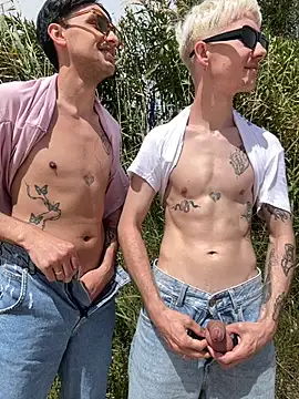 AlphaTwinks: διαδικτυακό σόου στην κάμερα