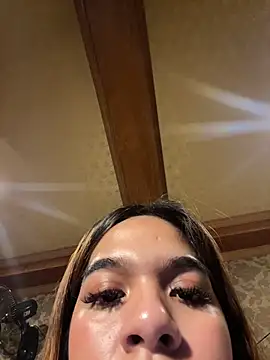 Pertunjukan Kamera Web bigcock_sassy69
