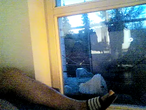 SirNefastus Pertunjukan Webcam