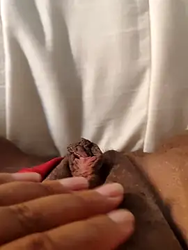 Pokazy przed kamerką – hasapequinha