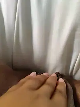 Show Webcam de hasapequinha