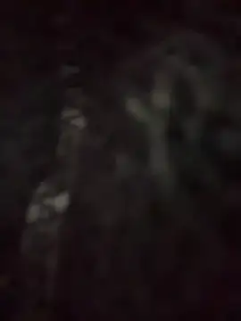 baby_akuma 실시간 채팅방