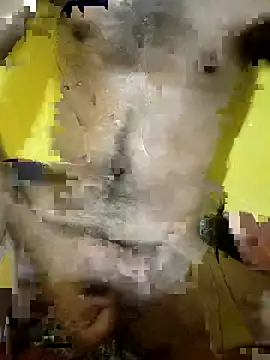 Playboy7305 – webcam-show