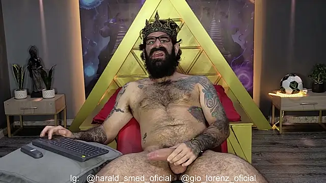 Haraldsmed Webcam show