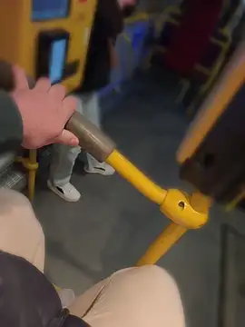 PublicMarekFlashDick webcam show