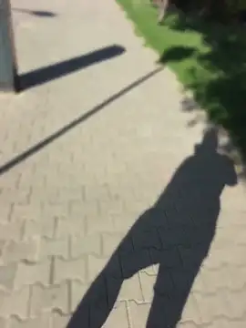 PublicMarekFlashDick Webcamshow