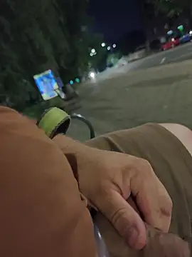 PublicMarekFlashDick – Kamerová šou