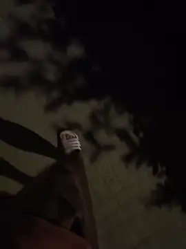 הופעת וובקאם של PublicMarekFlashDick