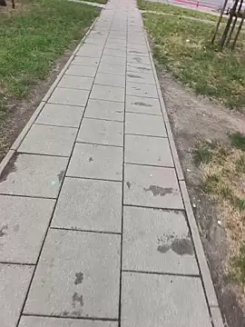 PublicMarekFlashDick webcam show