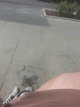 PublicMarekFlashDick Webcam Show