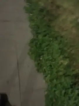XXX chat uživo modela PublicMarekFlashDick