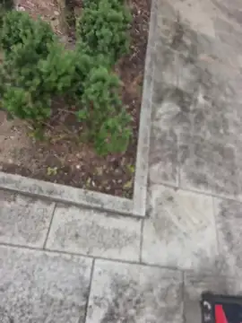 PublicMarekFlashDick Webcamshow