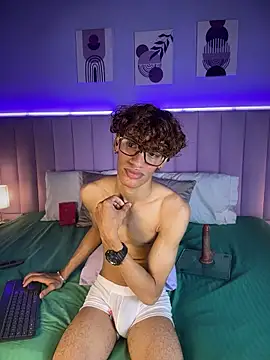 Show webcam de willturneer