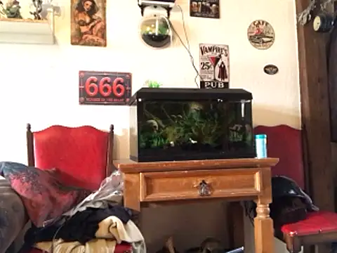 Bigboadick 웹캠 쇼