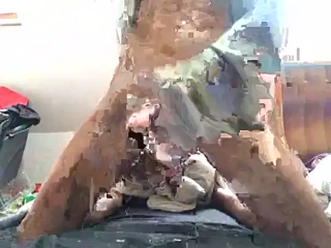 Bigboadick's Webcam Show