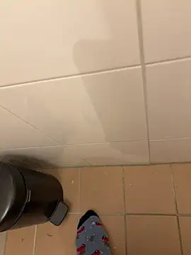maniacklen Webbikameraesitys
