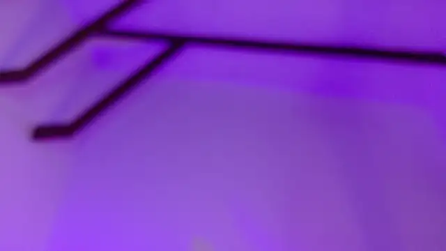 CathMeow_ élő XXX-chatje