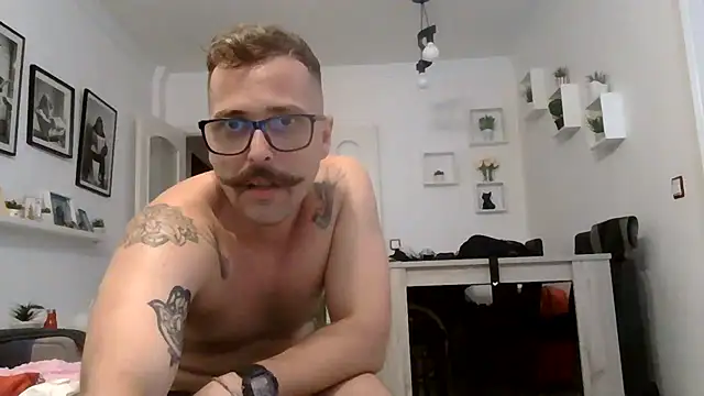 Show webcam de yanick931